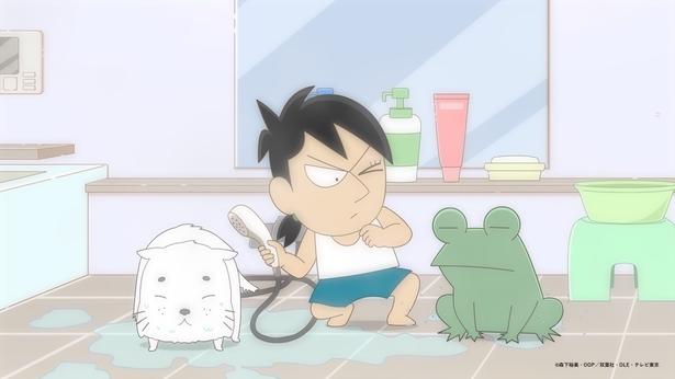 ＜小3アシベ QQゴマちゃん＞スガオくんが飼い猫のミケロットをお風呂に入れることに…第14話あらすじ＆先行カット公開