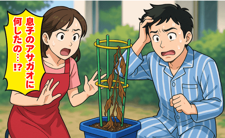 夫が息子のアサガオを枯れさせた！体調不良の息子に代わって水やりしただけなのに→衝撃の理由が発覚！