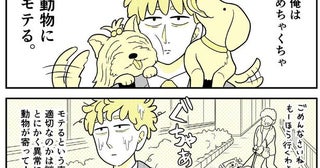 「そのカモが奇麗な女の子好きなだけなのかな…」の一言に大赤面。ギャグ漫画かと思いきや、まさかの恋愛フラグ!?／動物にモテるサラリーマンの受難