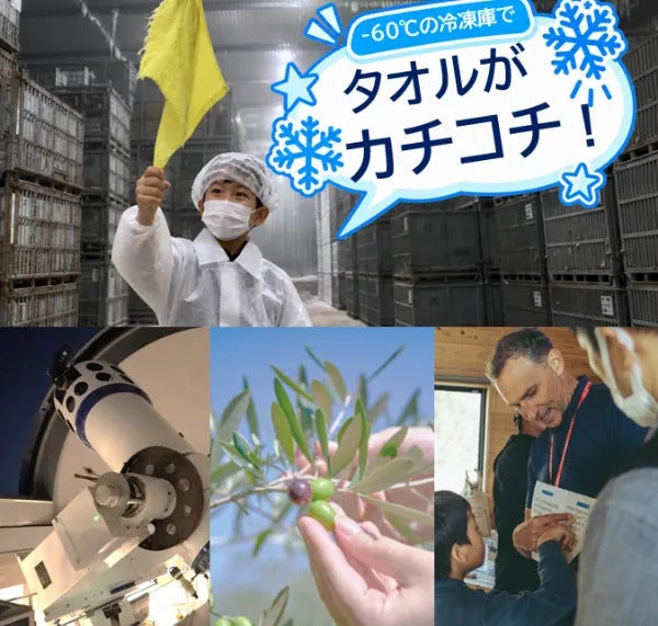 この社会見学、密度が濃すぎる…マイナス60℃の冷凍倉庫、本格天体観測、オリーブ収穫体験も！静岡の旬をぎゅっとつめこんだバスツアー