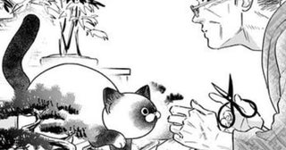 【猫VS組長】伝説の組長が完全敗北!?組長と野良猫の攻防戦に「間違いなく癒やされる!!」人続出【作者インタビュー】