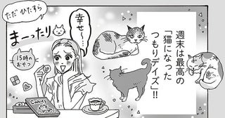 睡眠、食事、自由。猫になったつもりで気ままに過ごす、白川さんの週末