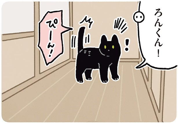 「ろんくん！」呼ばれてハッピ〜！ステップに気持ちが出ちゃう黒猫ろん