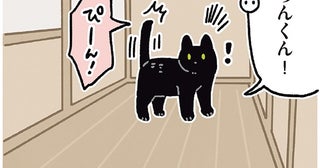 「ろんくん！」呼ばれてハッピ〜！ステップに気持ちが出ちゃう黒猫ろん