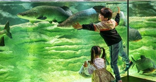 全天候型で快適なだけじゃない！「カワスイ 川崎水族館」子連れ向けサービス＆見どころ！徹底紹介