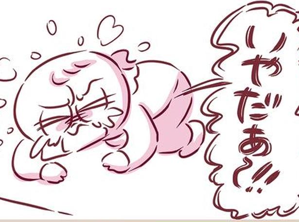 両親を失い、押し寄せる深い喪失感。抑えていた感情が溢れ「お母さんと話したい」