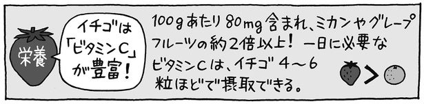 イチゴは赤い部分が果実で、表面のツブツブが種？／雑学うんちく図鑑（1）