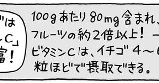 イチゴは赤い部分が果実で、表面のツブツブが種？／雑学うんちく図鑑（1）