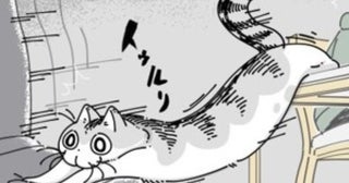 【ネコ漫画】大好きな飼い主の椅子に座りたい愛猫!?その姿に「伸びてるのかわいい」などSNSで共感コメント多数