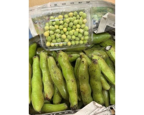  研ナオコ、伊豆の親戚から届いた“旬の味覚”に感謝 