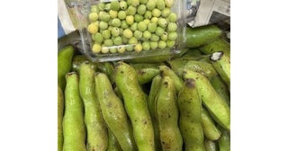  研ナオコ、伊豆の親戚から届いた“旬の味覚”に感謝 