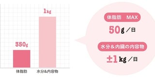 水分や食べたもので体重は簡単に変動する。体脂肪の変化は1か月単位で確認を