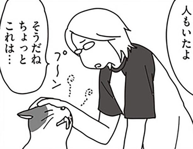ガンの自壊が始まった愛猫。少しでも楽にしてあげたくて…／世界一幸せな飼い主にしてくれた猫（17）