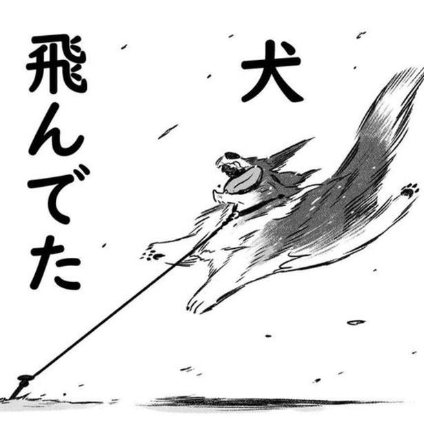 台風が来たら「犬が飛ぶ」は冗談じゃなかった!?まさかの実体験に20万いいね!!笑って学べる「犬をしまえ」の教訓【作者に聞く】