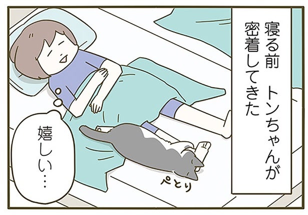 嬉しい、でも暑い！ 珍しくくっついてきてくれた猫への選択肢を間違えました