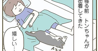 嬉しい、でも暑い！ 珍しくくっついてきてくれた猫への選択肢を間違えました