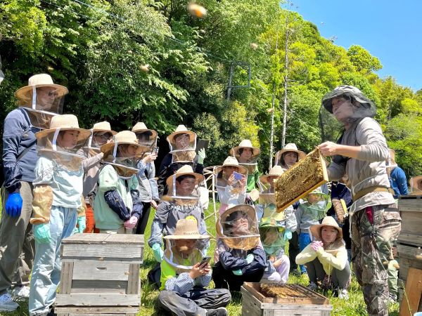 たこ作りや養蜂体験千葉県の自然の中で楽しむ連休