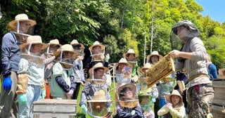 たこ作りや養蜂体験千葉県の自然の中で楽しむ連休
