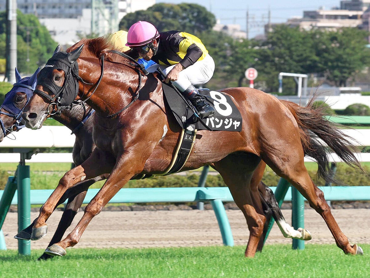 【競馬予想】オールカマー、レガレイラの連覇に黄信号道悪馬場で浮上する伏兵２頭が好配当をもたらす