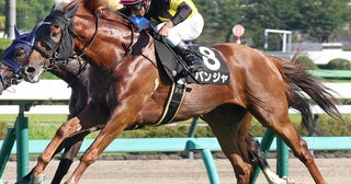 【競馬予想】オールカマー、レガレイラの連覇に黄信号道悪馬場で浮上する伏兵２頭が好配当をもたらす