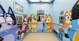 世界中で大人気の『ブルーイ』って知ってる？神戸の街を駆け巡る“かわいすぎるコラボ”の裏側を調査！