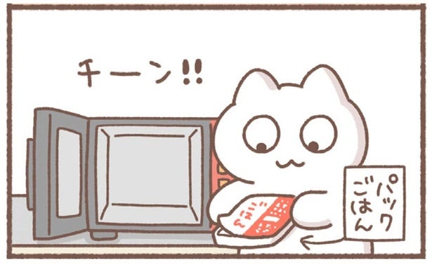 こういうのでいいんだよ！疲れ切った夜はパックごはんをチン