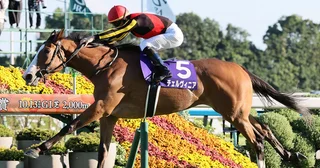 【競馬予想】マイルCSで注目は４歳牝馬２頭ＧⅠ馬６頭が揃うなかで見るべき血統は？