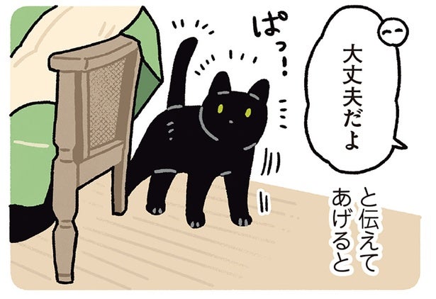 「大丈夫だよ」を全力で信じてくれる。飼い主にまっすぐな信頼を向ける黒猫ろん