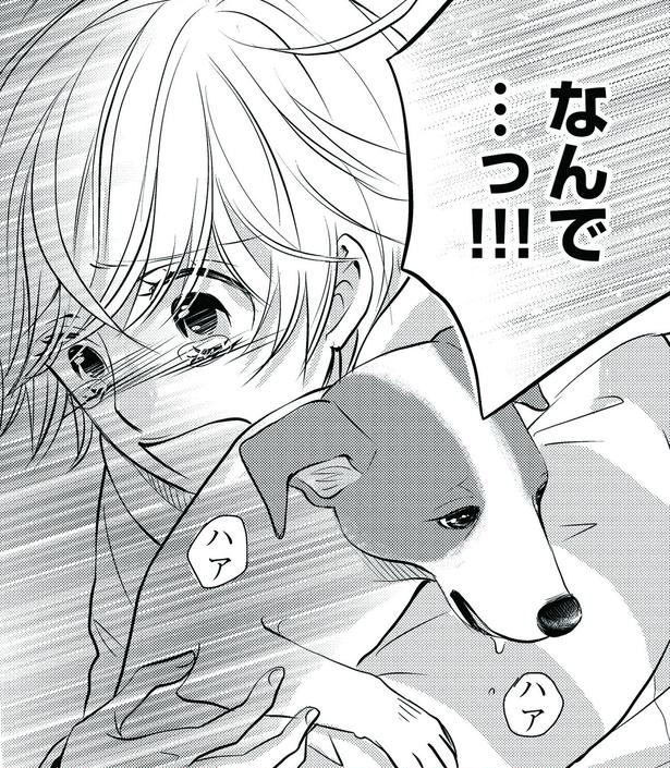 【漫画】「下手したら命に係わる！」深夜の救急病院に響く声…。靴紐の誤飲で激しく嘔吐する愛犬に、獣医師が突きつけた現実