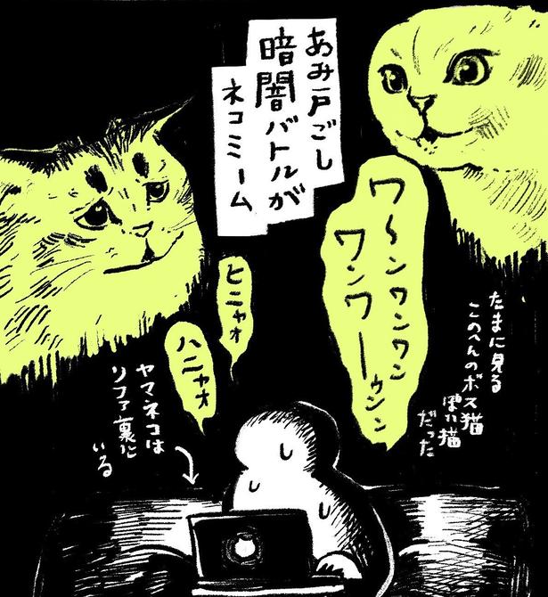 猫のサイベリアンは甘えん坊だけど、暗闇でボス猫とバトル？飼い主との相思相愛の様子に「癒された」と反響【漫画】