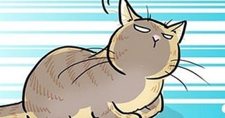 【ねこ漫画】我が家の猫はトロすぎる…「猫の本能はいずこ？」野生の勘を失った猫の姿に困惑【作者に聞いた】