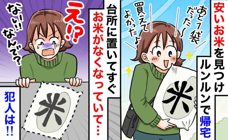 「残り1袋…買えた！」特売のお米を購入して帰宅⇒目を離した隙に袋ごと消えた…犯人を問い詰めると？