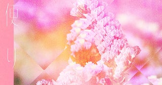       shallm、5th 配信シングル「花便り」のリリースが決定！ワンフレーズの歌詞動画を公開！      