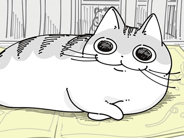 邪魔だけどどけるほどでもないな。チラシの上を陣取るネコと気にしない飼い主