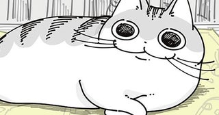 邪魔だけどどけるほどでもないな。チラシの上を陣取るネコと気にしない飼い主