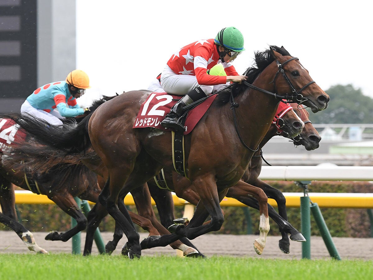 【競馬予想】高松宮記念で好成績を残している血統は？今年最初の芝のＧⅠは人気薄の２頭に好走の気配