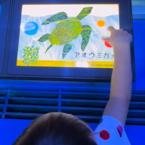 「4歳息子が30分も動かなかった！」しながわ水族館×『はらぺこあおむし』、35周年と50周年を祝う特別展が想像以上