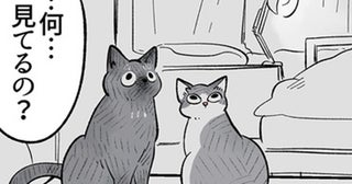【漫画】「いったい何を見ているの…？」ある一点をじーっと見つめる猫の行動に飼い主はビビりまくり！【作者に聞く】