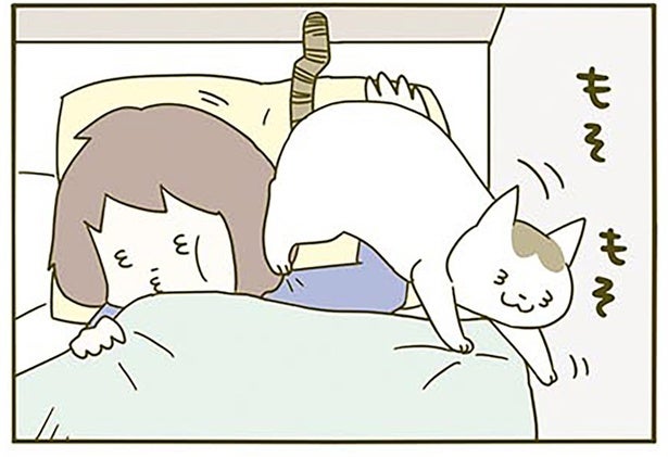 とある春の日の出来事。「おいでなすったな」猫飼いあるあるな季節