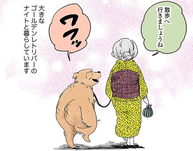 今日も笑顔で出発！おばあちゃんとゴールデンレトリーバー・ナイトのおさんぽ時間／姫ばあちゃんとナイト1（1）