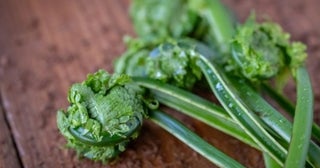 春の山菜「こごみ」の美味しい食べ方！下処理方法やおすすめレシピ6選をご紹介