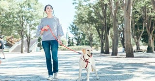 犬の散歩中、他人の家の前にある電柱におしっこをさせていたら、家主が出てきて「器物損壊だ！ 清掃代を払え」と怒鳴られました。公共の電柱でもお金を払う義務があるのでしょうか？