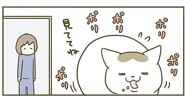 「カリカリ食べるから見ててね」食事の様子を見てほしい猫 VS 仕事したい飼い主