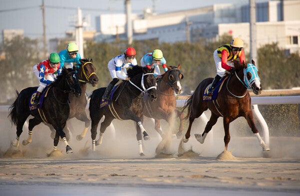 【競馬】「競馬予想AI」はどれくらい当たるのか？過去には968倍、2644万円の払い戻し実績も！