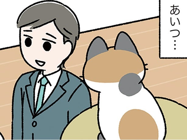 【ねこは三年の恩を三日で忘れる】もう忘れたの？ 数日家を空けたねこの不機嫌さの理由は