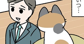 【ねこは三年の恩を三日で忘れる】もう忘れたの？ 数日家を空けたねこの不機嫌さの理由は