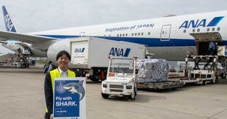 ANA、ボーイング777旅客機に「AeroSHARK」フィルムを実装しアジアで初めて就航