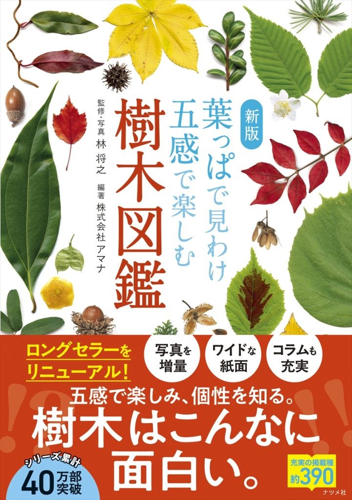 葉の写真で樹木を検索五感で楽しむ樹木図鑑