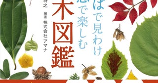 葉の写真で樹木を検索五感で楽しむ樹木図鑑