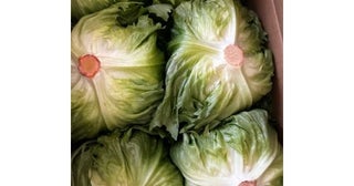  研ナオコ、今年も届いた箱いっぱいの新鮮レタスに感謝 